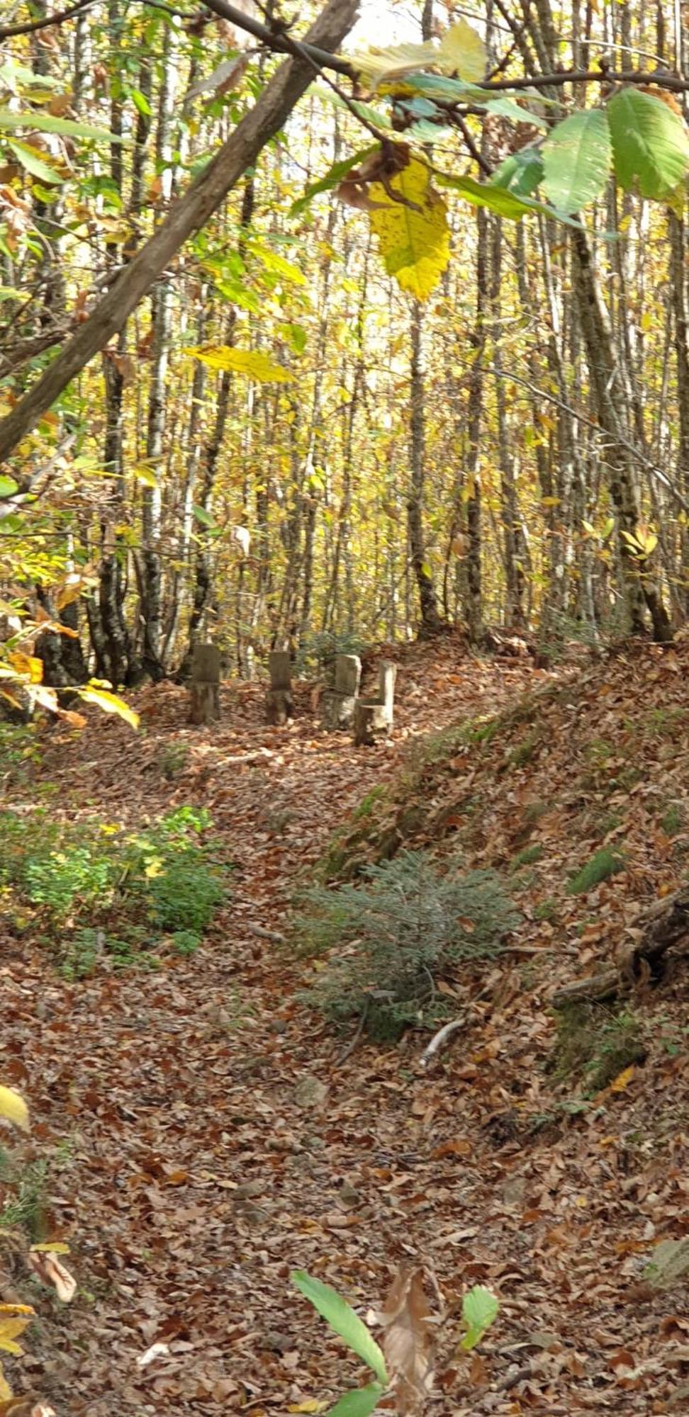 Agriturismo Menghino Nievole Luaran gambar